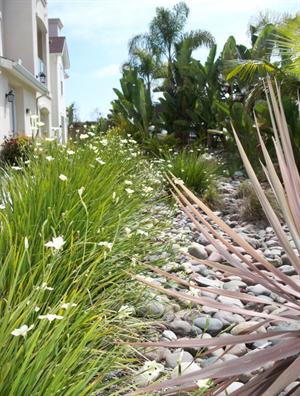 Drought-proof landscaping