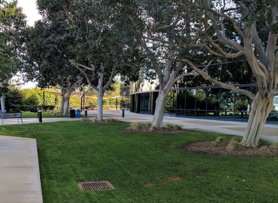 Vegetated buffer strip