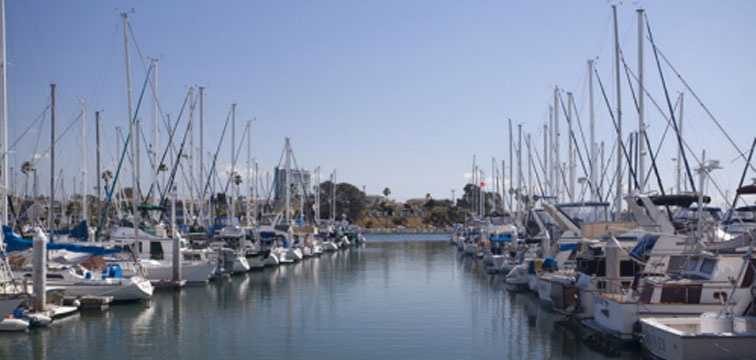 Vessels Docked in Harbor